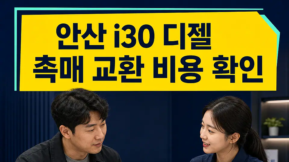 안산 i30 디젤 촉매 교환 비용 다음 행동