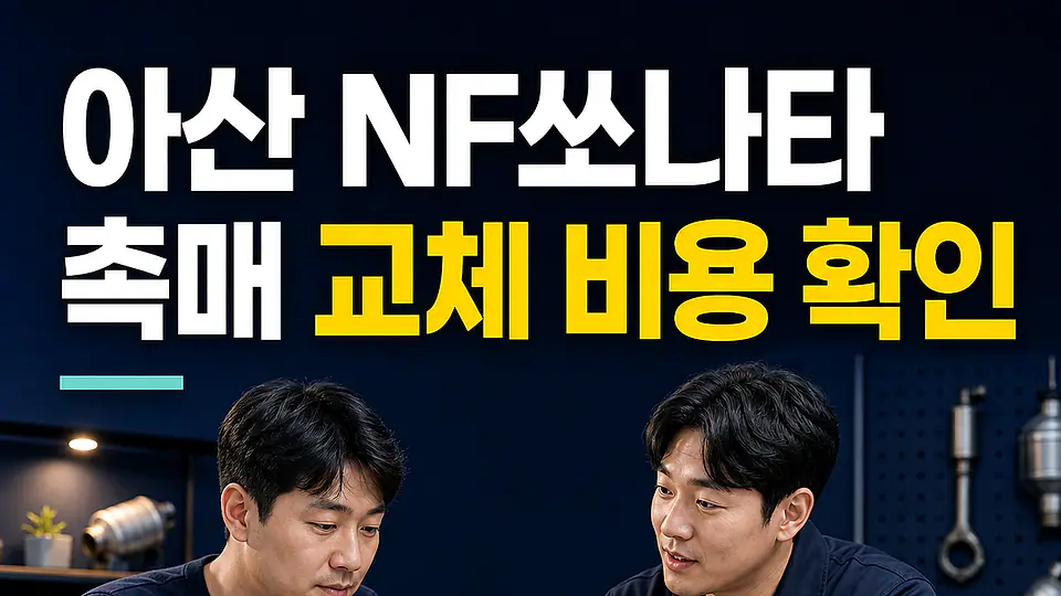 아산 NF쏘나타 촉매 교체 비용 다음 행동