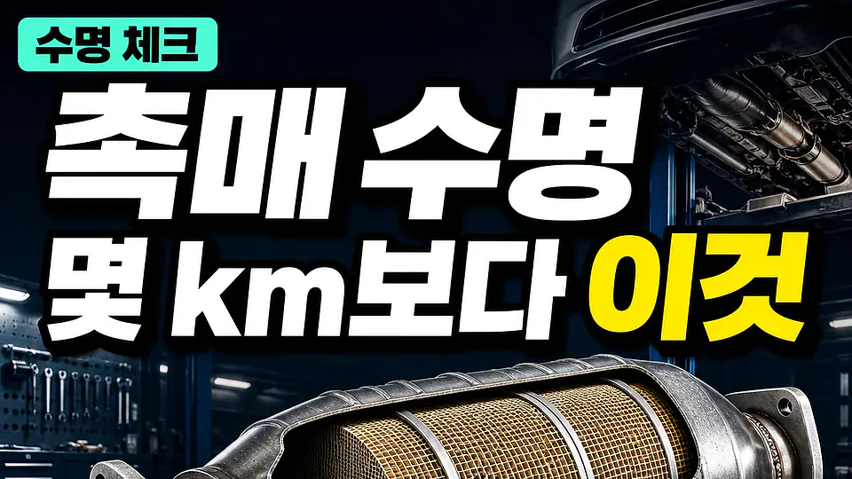 자동차 촉매 수명 다음 행동