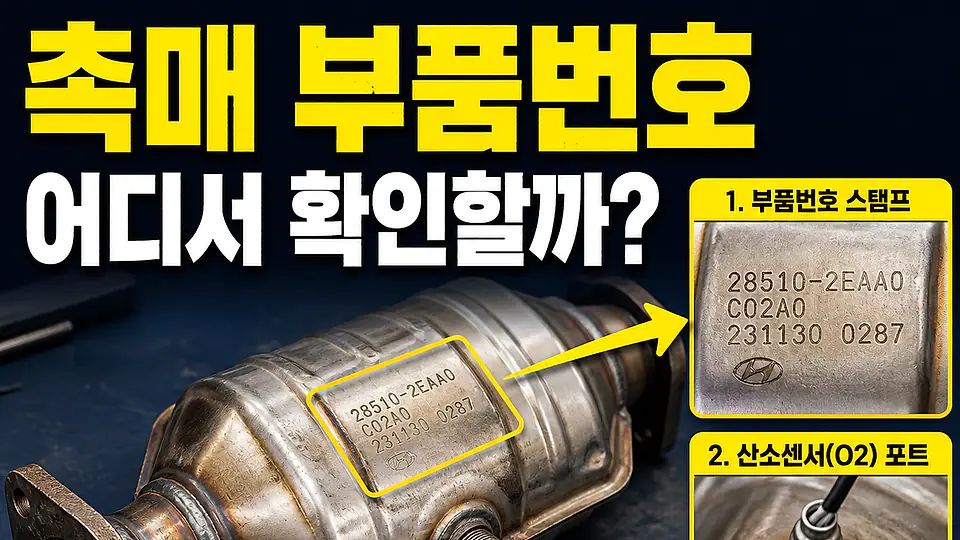 자동차 촉매 부품번호 확인 다음 행동