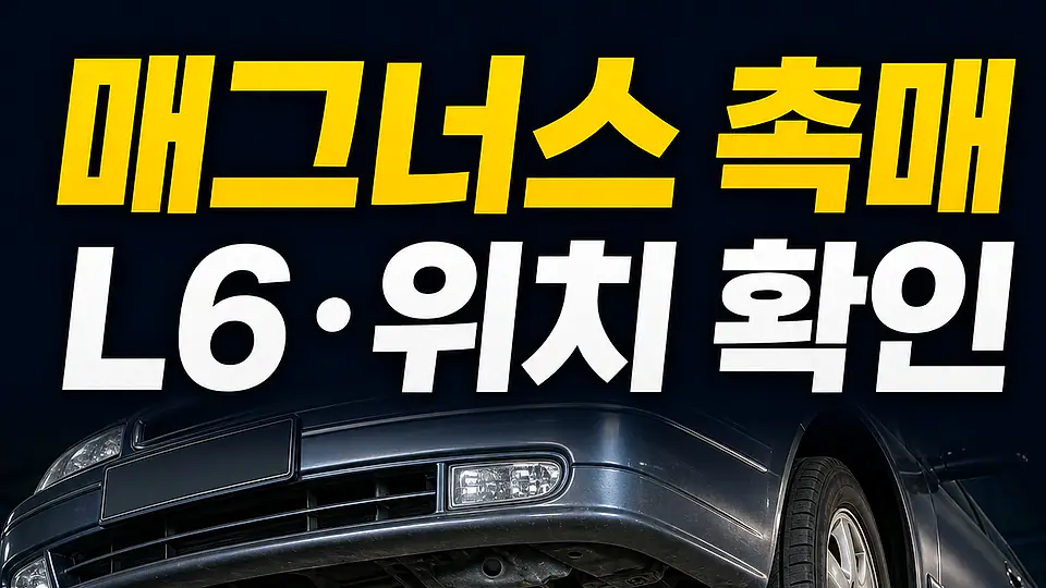 매그너스 촉매 교체 비용 다음 행동