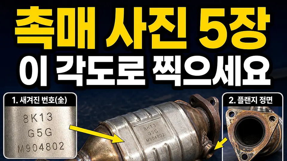 기존 촉매 사진 촬영법 다음 행동