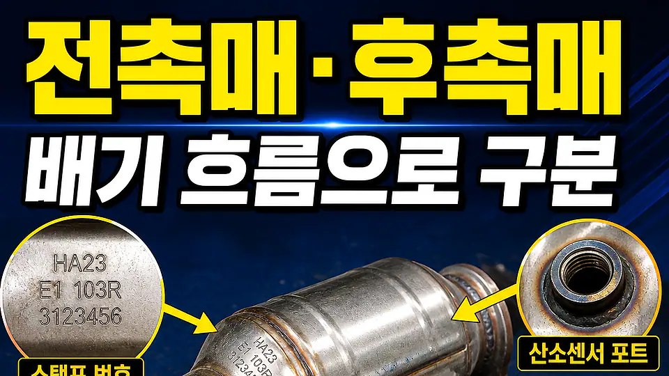 전촉매 후촉매 구분 다음 행동
