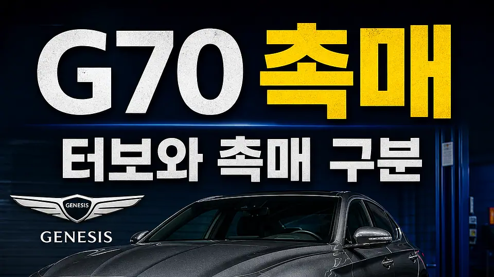 G70 촉매 다음 행동