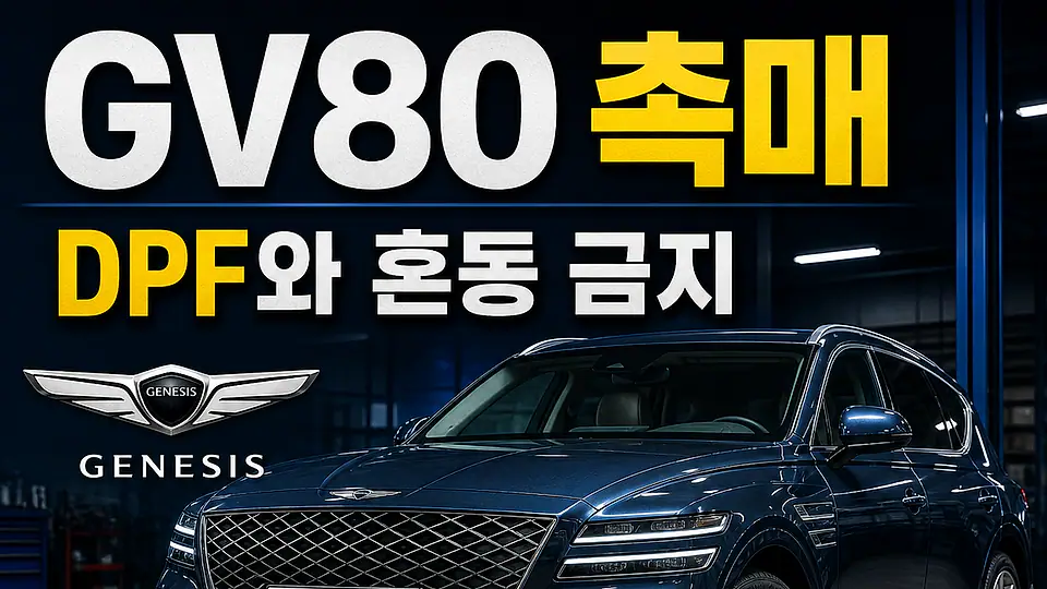GV80 촉매 다음 행동