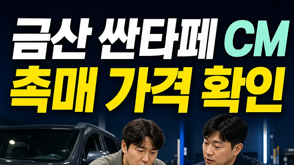 금산 싼타페 CM 촉매 가격 다음 행동