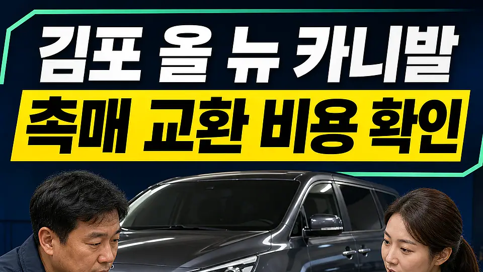 김포 올 뉴 카니발 촉매 교환 비용 다음 행동