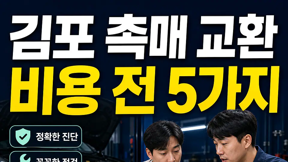 김포 촉매 교환 비용 다음 행동