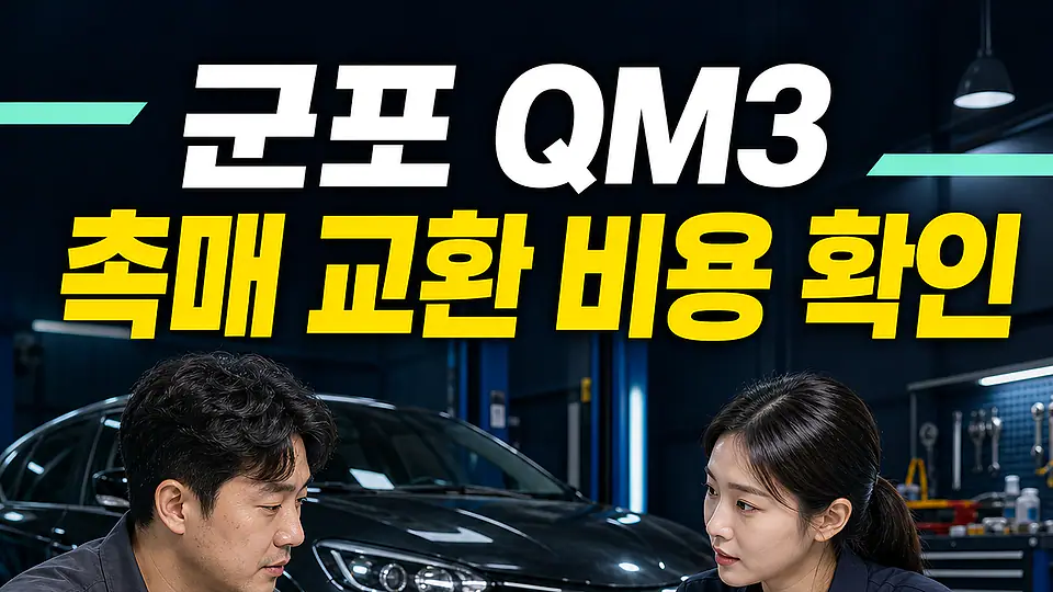 군포 QM3 촉매 교환 비용 다음 행동