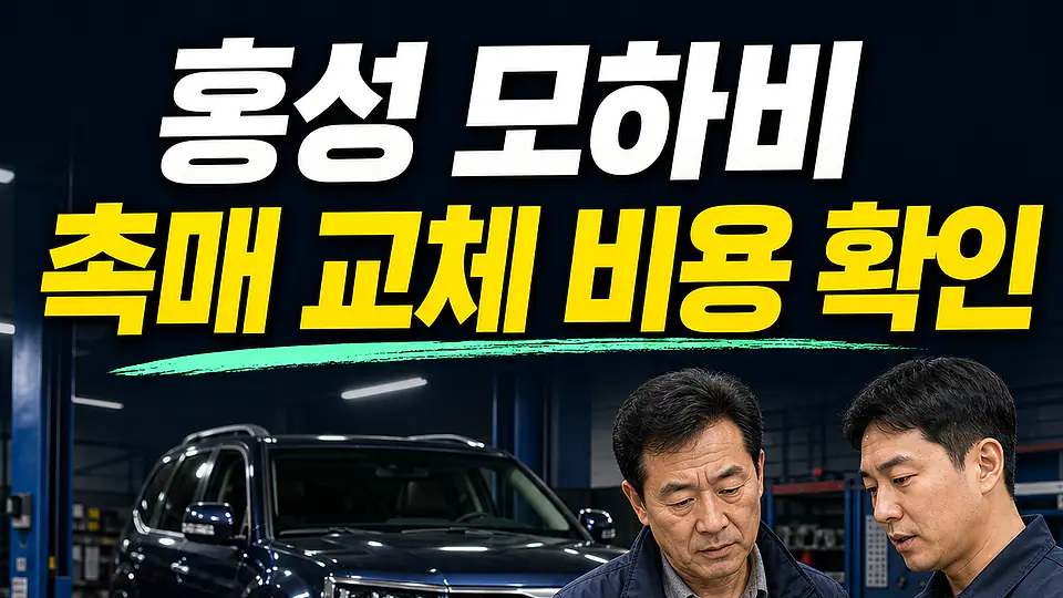 홍성 모하비 촉매 교체 비용 다음 행동