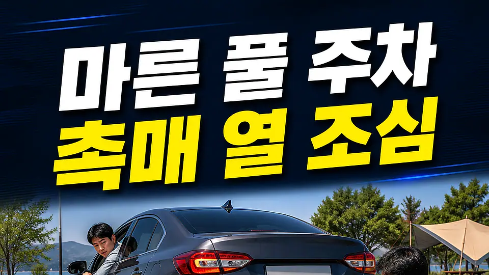촉매 마른 풀 주차 화재 다음 행동