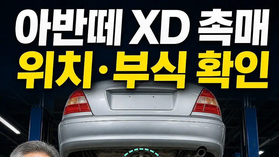 아반떼 XD 촉매 교체 비용 다음 행동