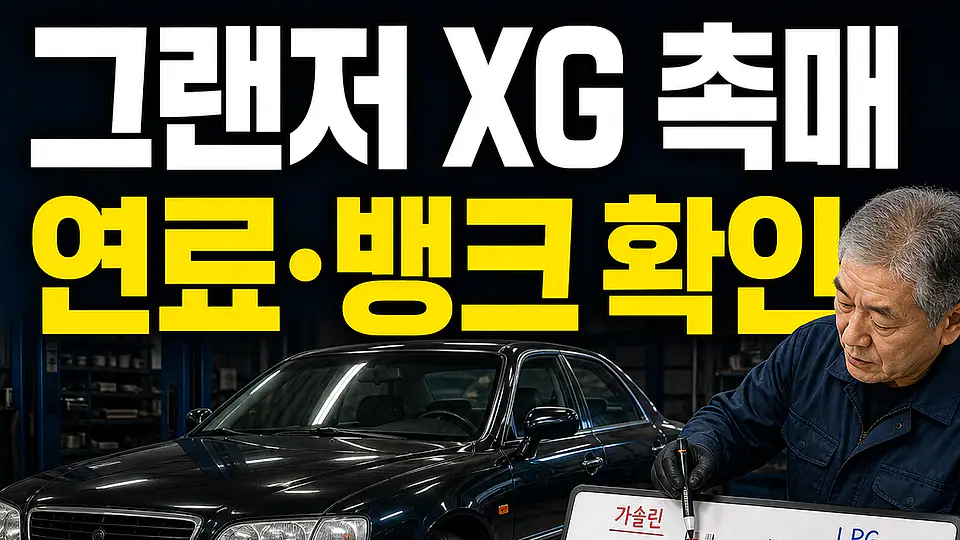 그랜저 XG 촉매 교체 비용 다음 행동
