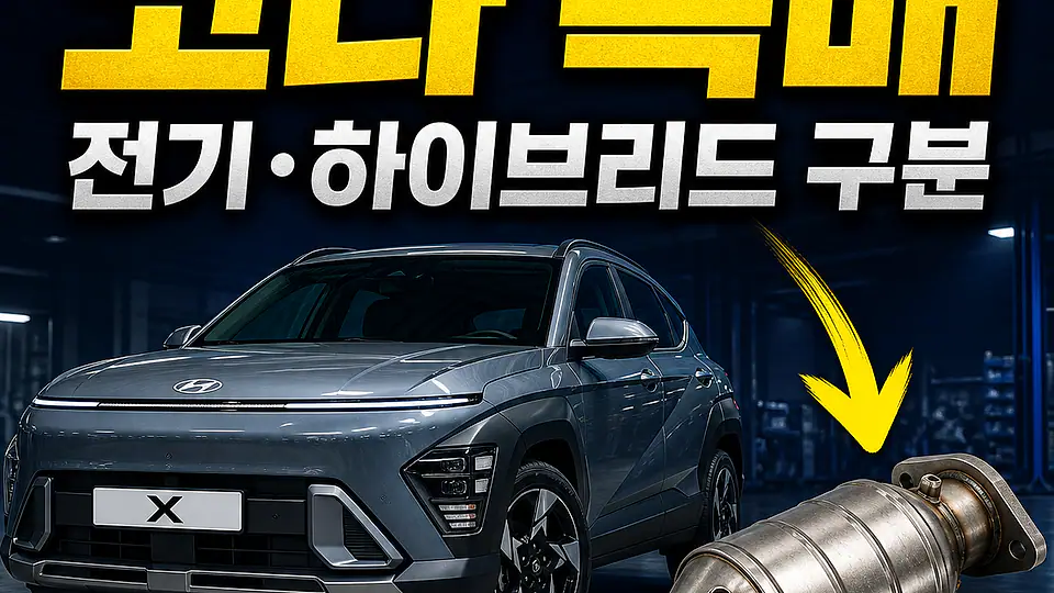 코나 촉매 대조 포인트