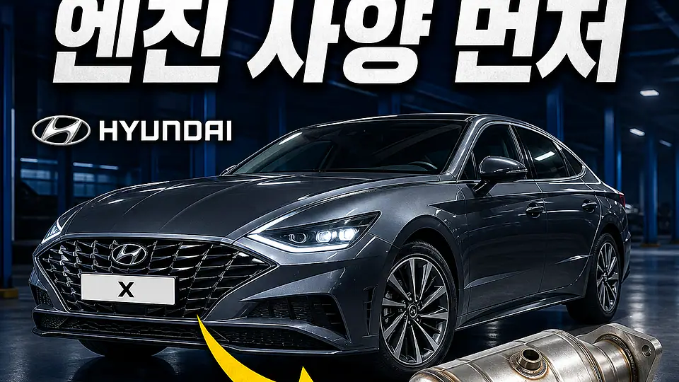 DN8 쏘나타 촉매 대조 포인트