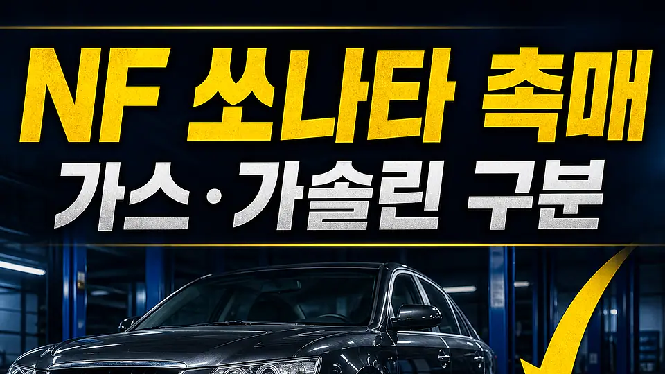 NF 쏘나타 촉매 다음 행동