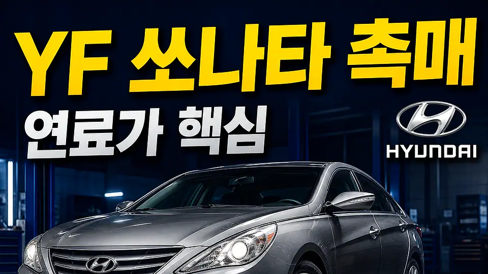 YF 쏘나타 촉매 다음 행동