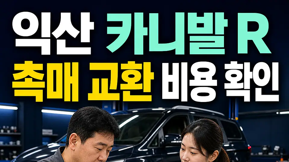 익산 카니발 R 촉매 교환 비용 다음 행동