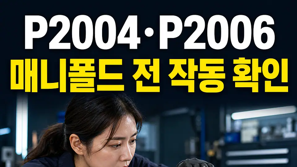 P2004 P2006 다음 행동