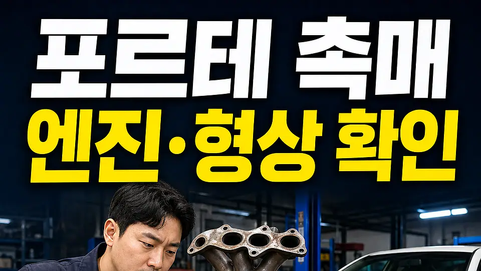 포르테 촉매 교체 비용 다음 행동