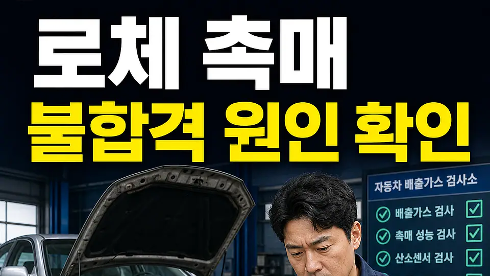로체 촉매 교체 비용 다음 행동