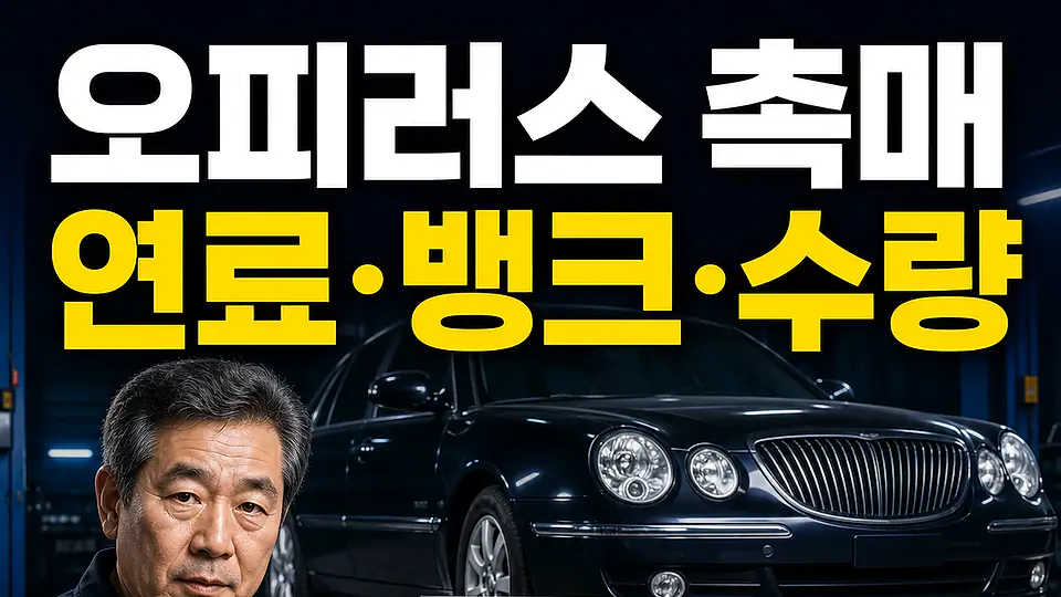 오피러스 촉매 교체 비용 다음 행동