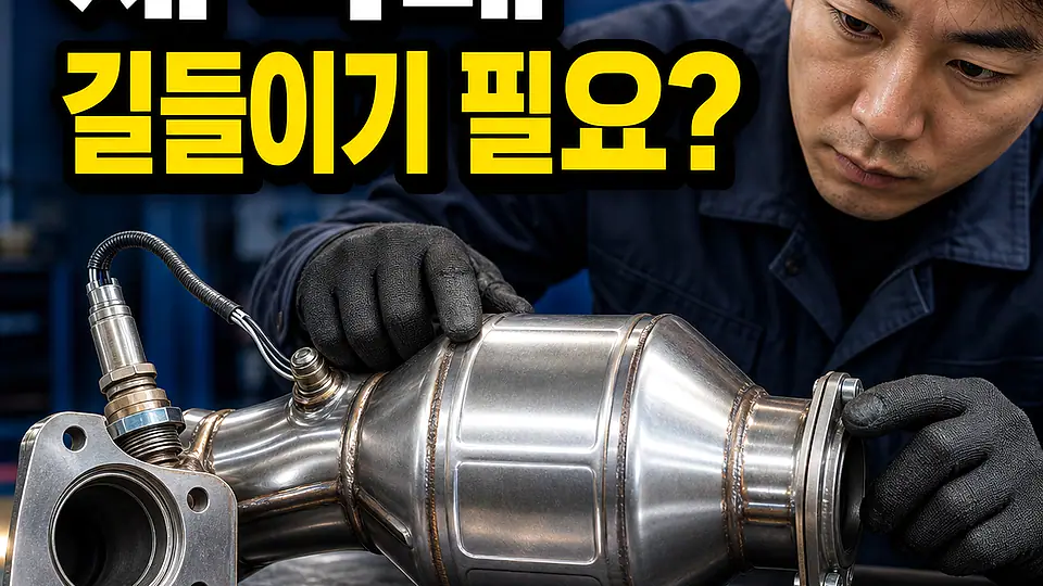 새 촉매 길들이기 대조 포인트