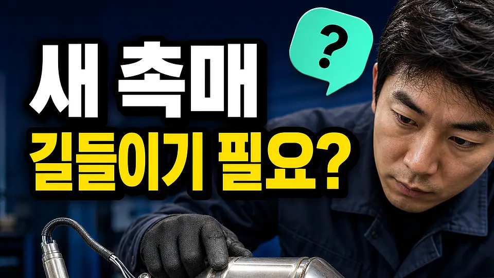 새 촉매 길들이기 다음 행동