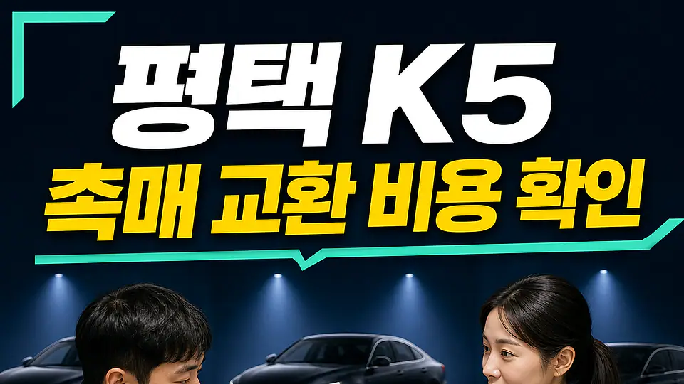 평택 K5 촉매 교환 비용 다음 행동