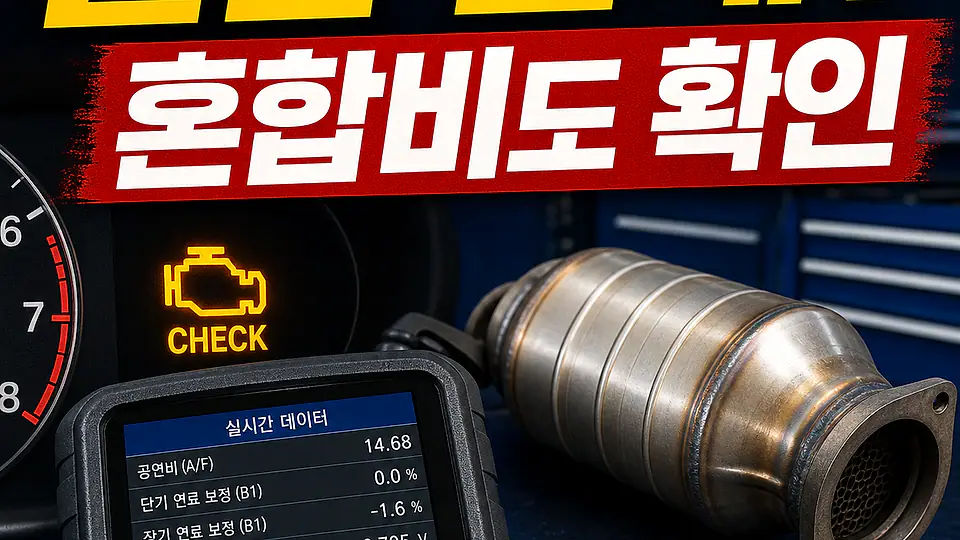 썩은 달걀 냄새와 촉매 대조 포인트