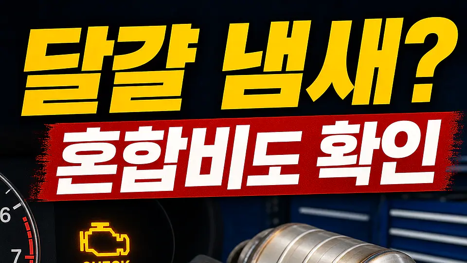 썩은 달걀 냄새와 촉매 다음 행동
