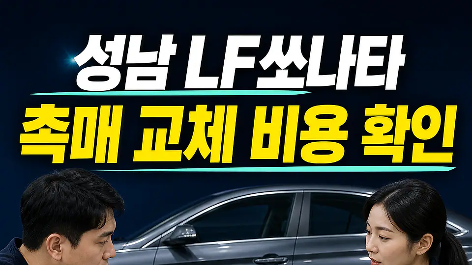 성남 LF쏘나타 촉매 교체 비용 다음 행동