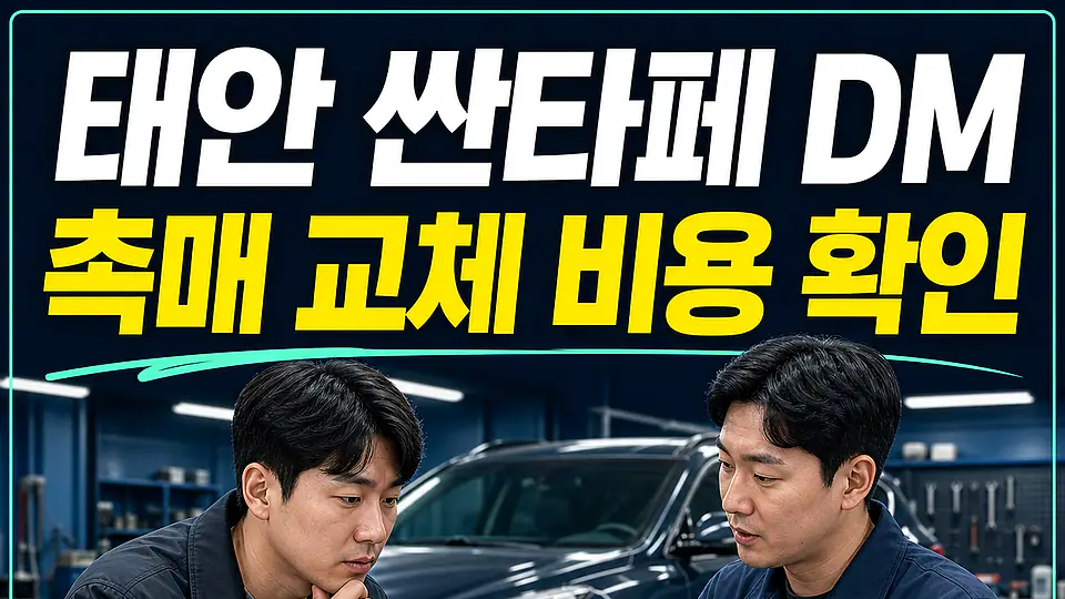 태안 싼타페 DM 촉매 교체 비용 다음 행동