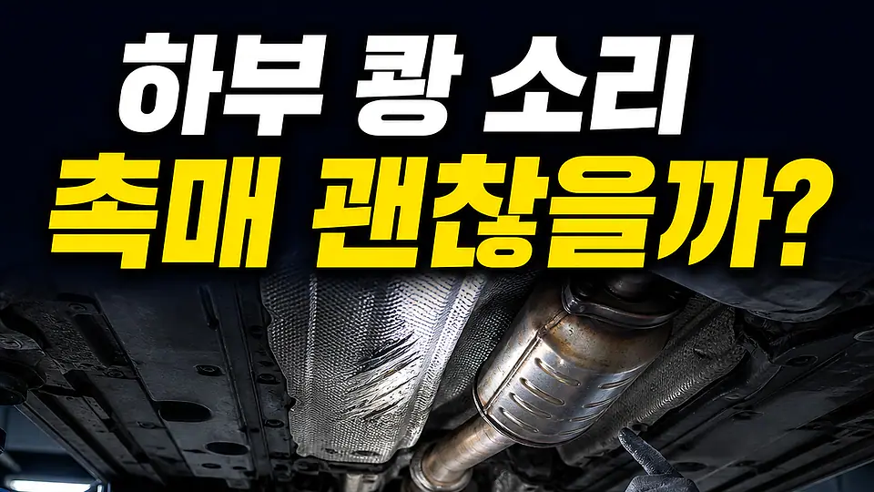 하부 충격 다음 행동