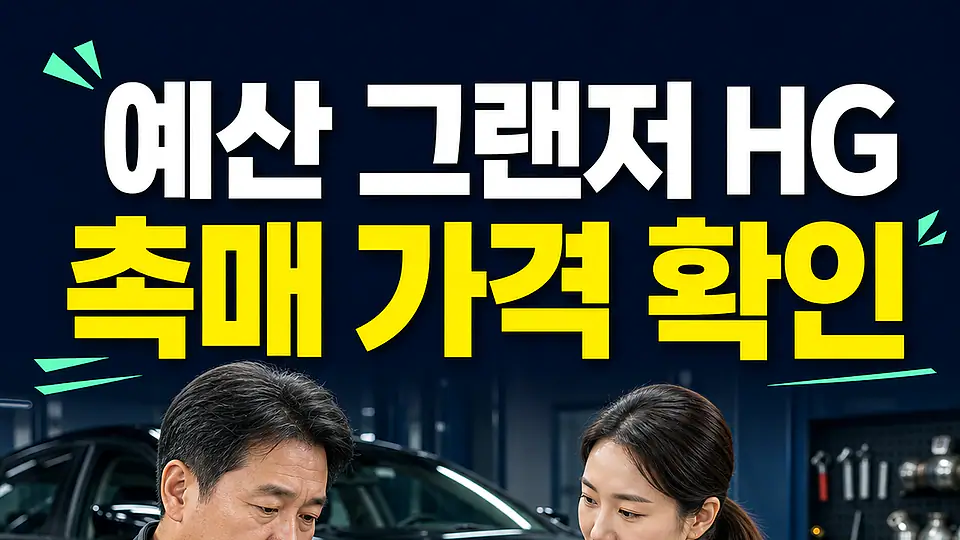 예산 그랜저 HG 촉매 가격 다음 행동