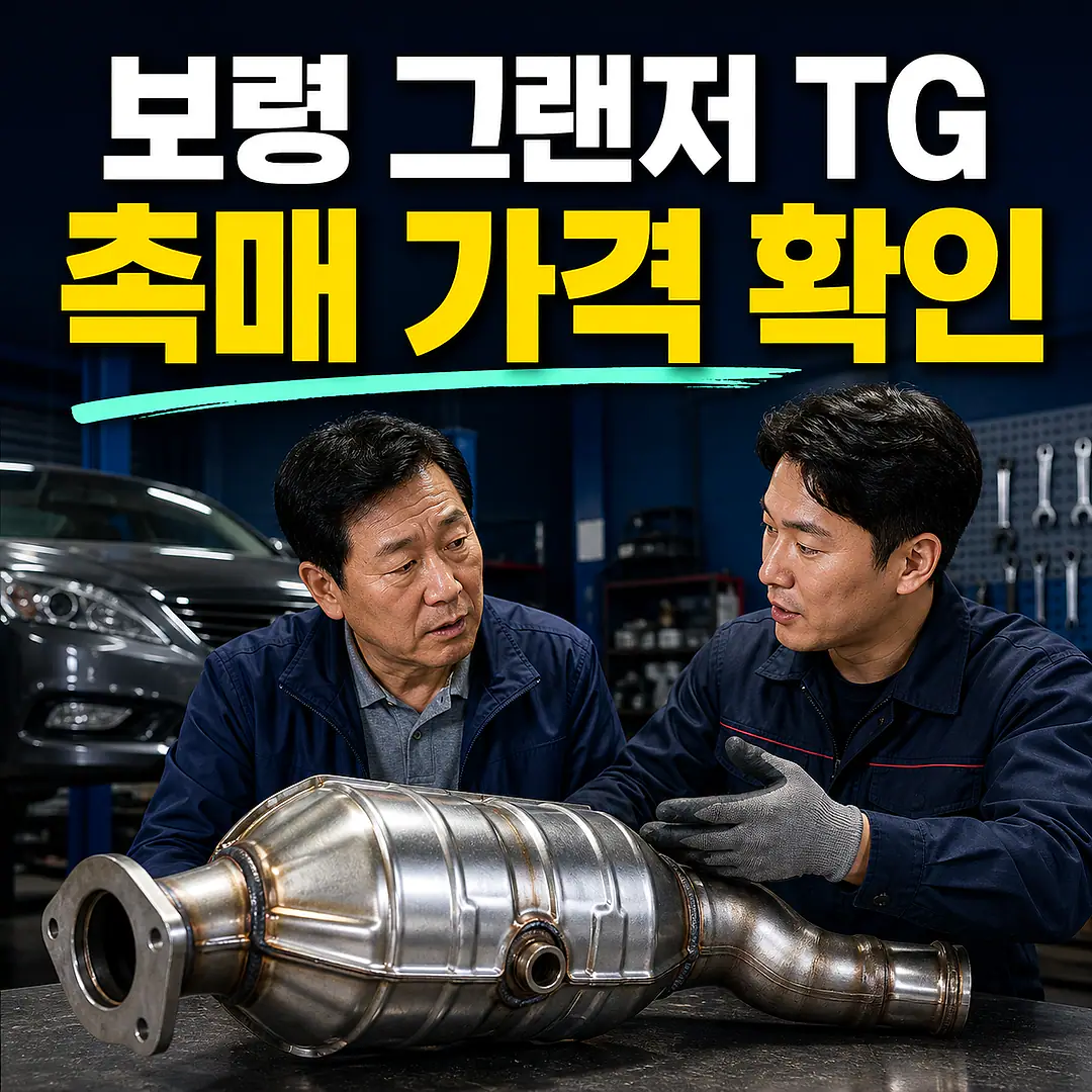 보령 그랜저 TG 촉매 가격, 가솔린·LPI 구분 정사각형 썸네일