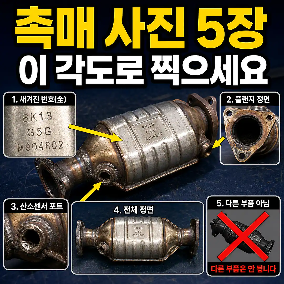 기존 촉매 사진 촬영법, 잘못 주문하지 않는 확인법 1대1 대표 썸네일