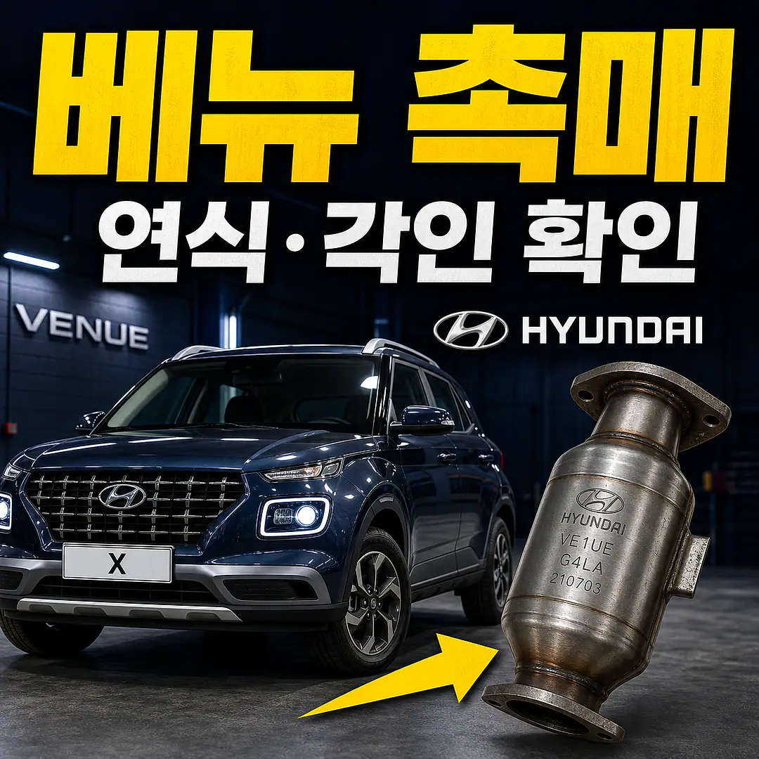 베뉴 촉매 경고등? 주문 전에 확인할 7가지 정사각형 썸네일